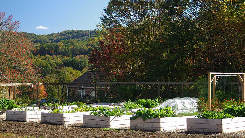 Skyterra Garden Raised Beds Soil3 BigYellowBag