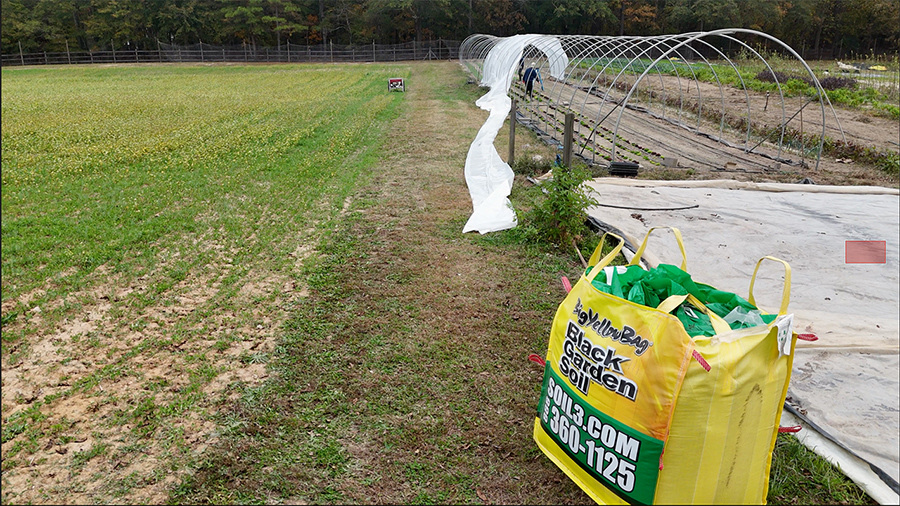 market farm where Soil3 compost is used