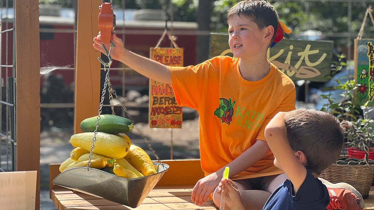 boys weighing Katies Krop harvest