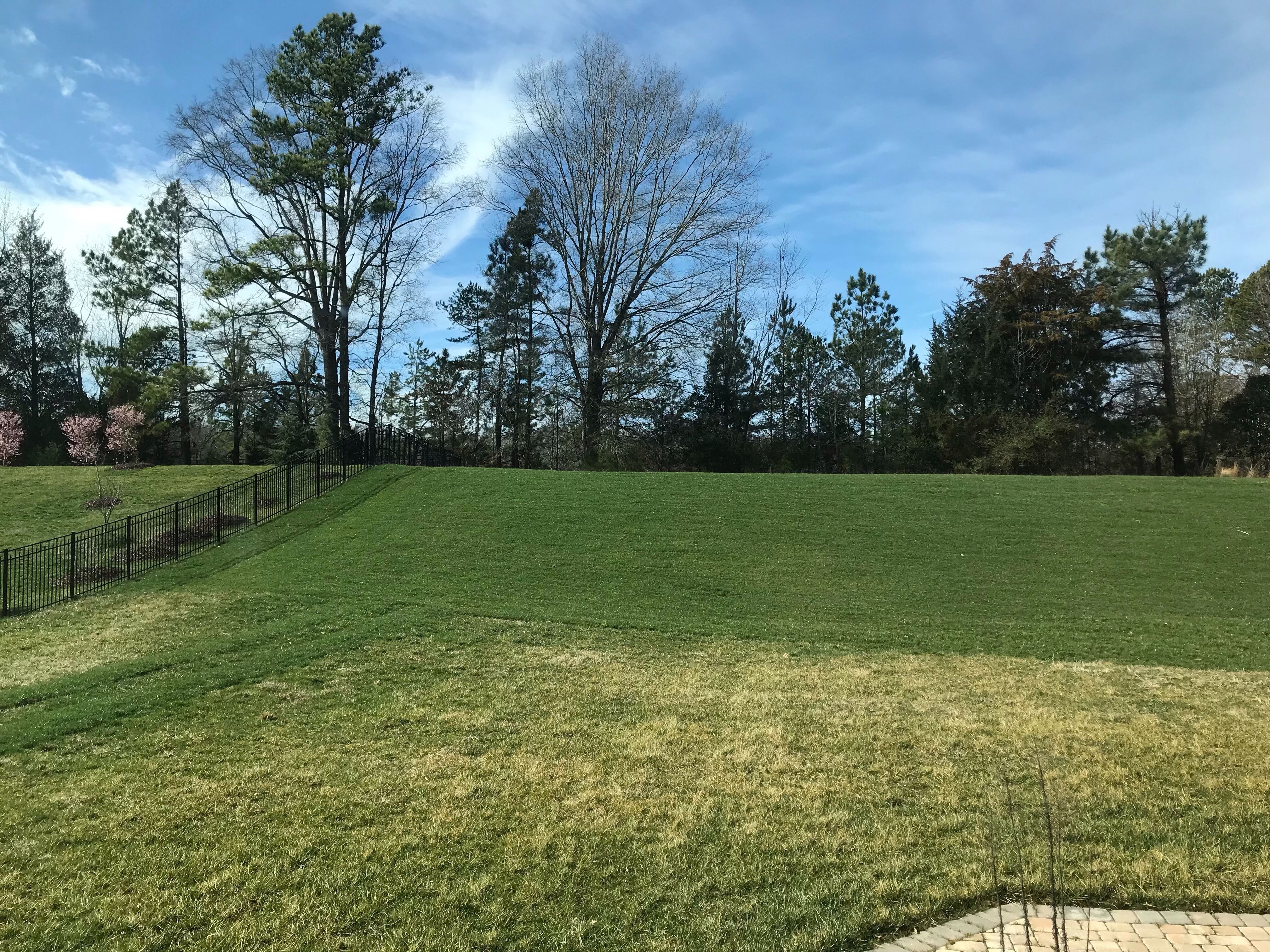 Soil3 with Tall Fescue at installation fall 2019