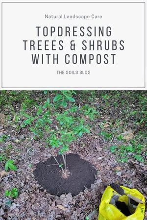 Topdressing Trees and Shrubs Compost