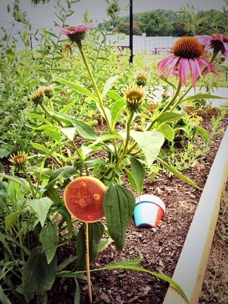 doc's raised garden bed with flowers.jpg doc's raised garden bed with flowers.jpg
