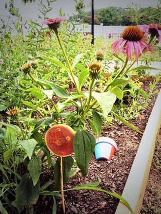 doc's raised garden bed with flowers.jpg