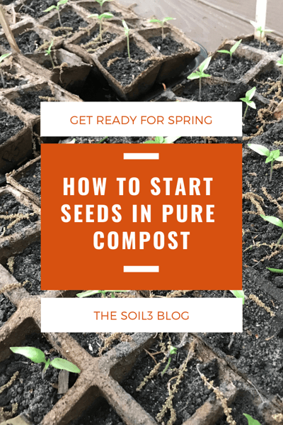 how to start seeds in compost