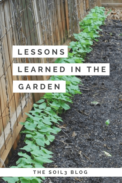 lessons learned in the garden