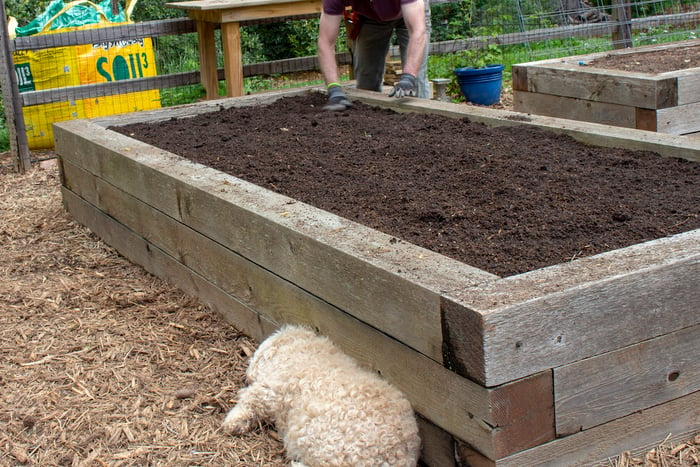 new compost in old garden beds