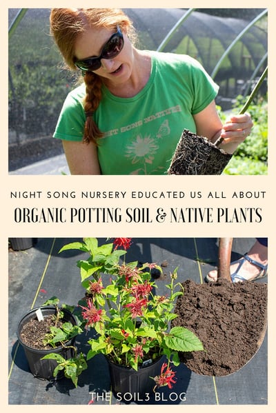 organic potting mix and native plants