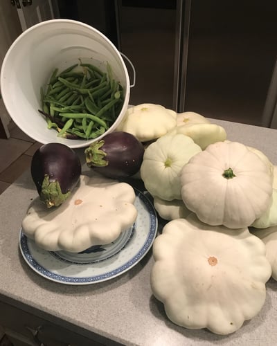 patty pan squash and green beans from Ross garden