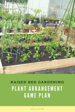 raised bed garden.png