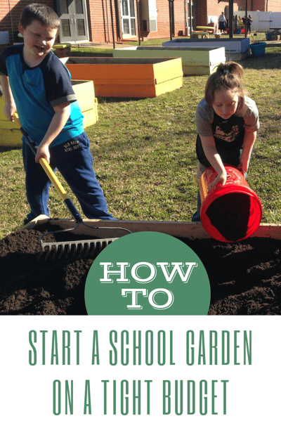 school garden on tight budget