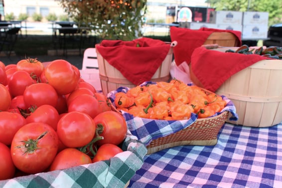 tomatoes and peppers fancy tablecloth