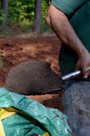 topdressing fall planting 2.jpg