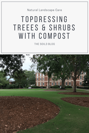 topdressing treees & shrubs with compost