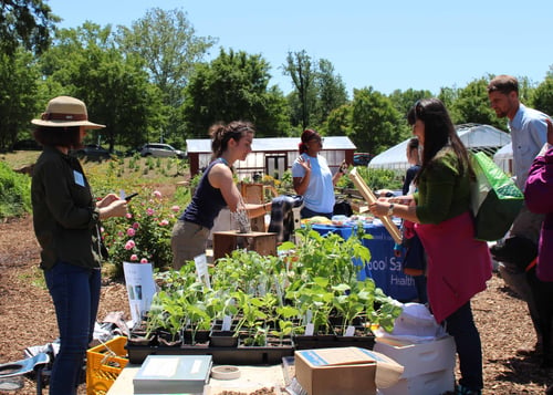 unique plants at master gardener events