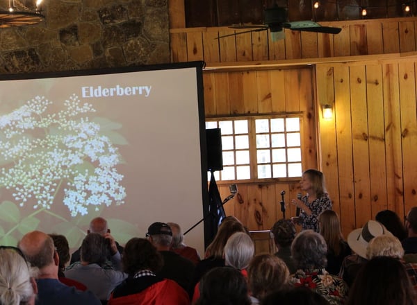 Ellen Native Plant presentation copy