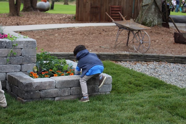 playing in the raised bed by AMG landscape copy