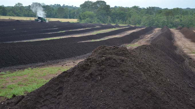 compost windrows