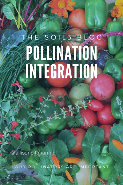 pollination integration