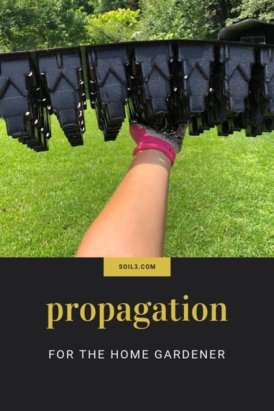 propogation