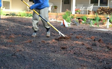 raking_compost_into_soil.jpg