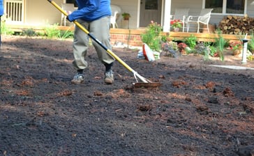 raking_compost_into_soil.jpg raking_compost_into_soil.jpg