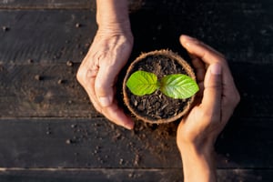 The Gift of Generational Gardening