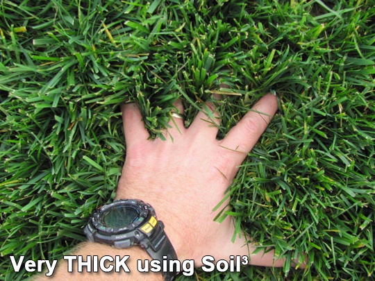 topdressing-grass-seed-turf-sod-lawn-with1a