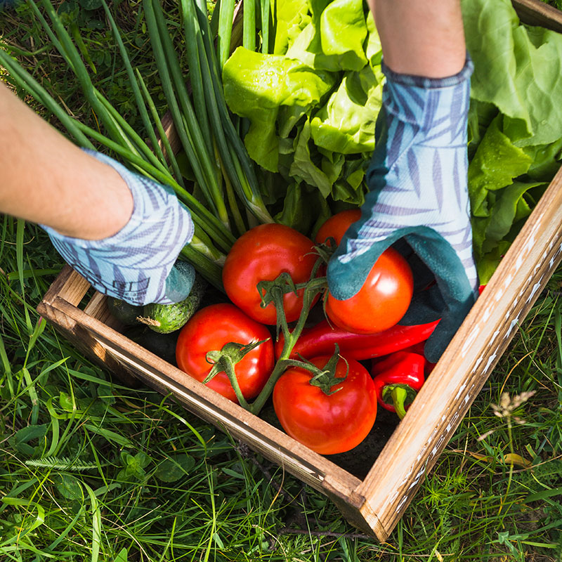 How to start a Plant a Row for the Hungry Community Garden