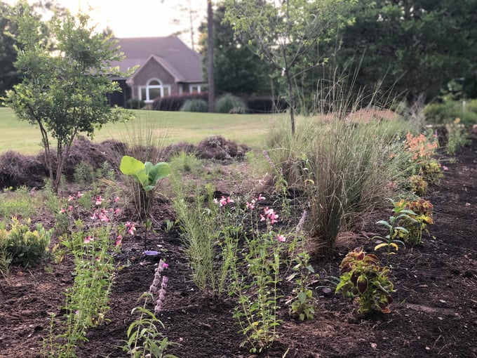 Landscaping A New Home