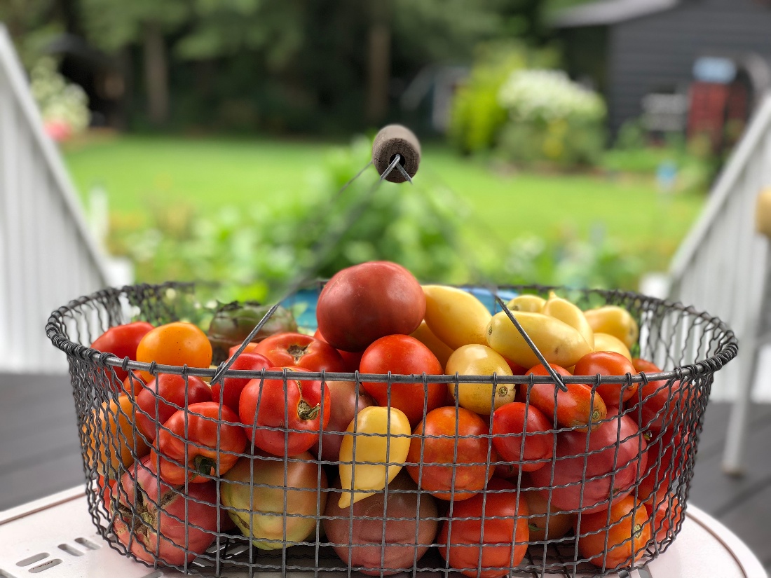 Enjoy Fresh & Delicious Fruits of Your Labor - Start Gardening Today!